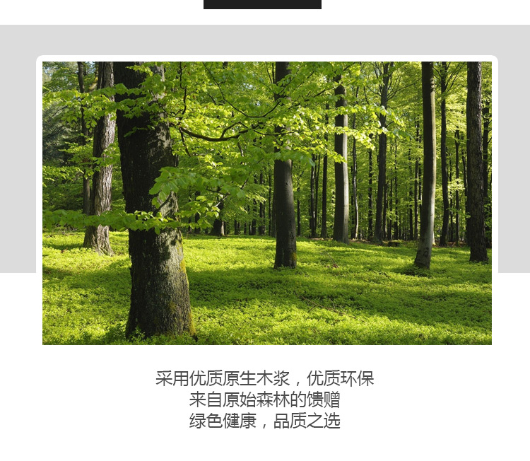 擦手紙詳情